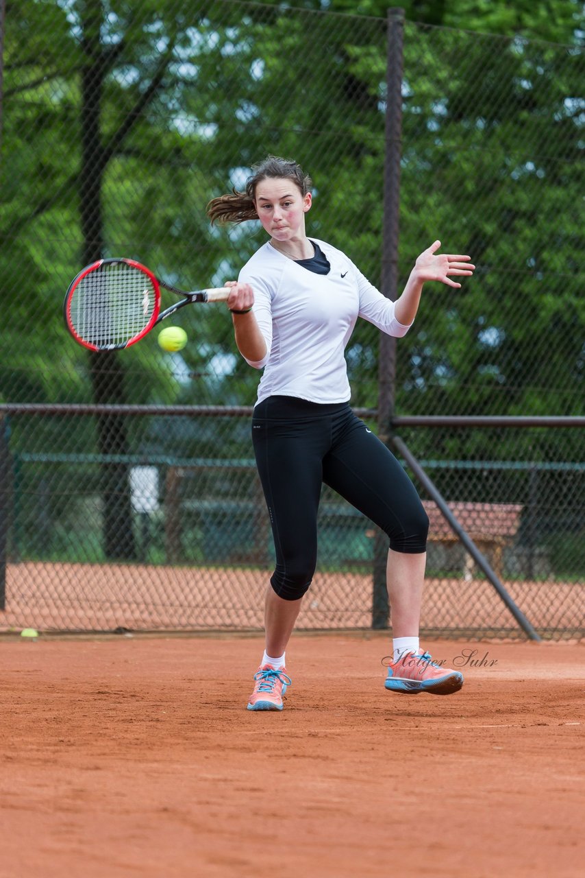 Bild 276 - NL VfL Westercelle - SVE Wiefelstede : Ergebnis: 8:1